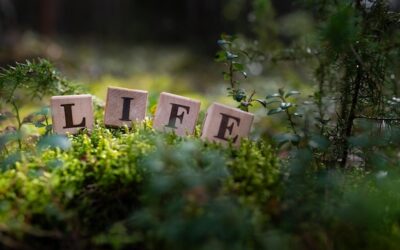 Co naprawdę jest celem naszego życia?