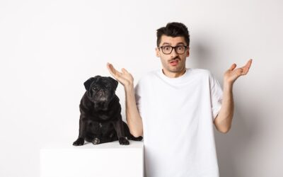 Czy wiesz co to znaczy mieć tupet?