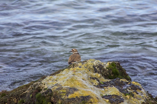 Ile wynosi trzynasta pensja i kto może na nią liczyć?