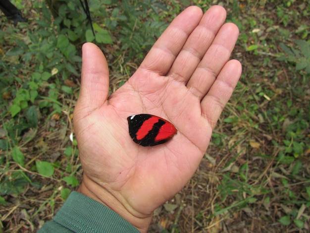 Jak długo są otwarte sklepy Biedronka w dni świąteczne?